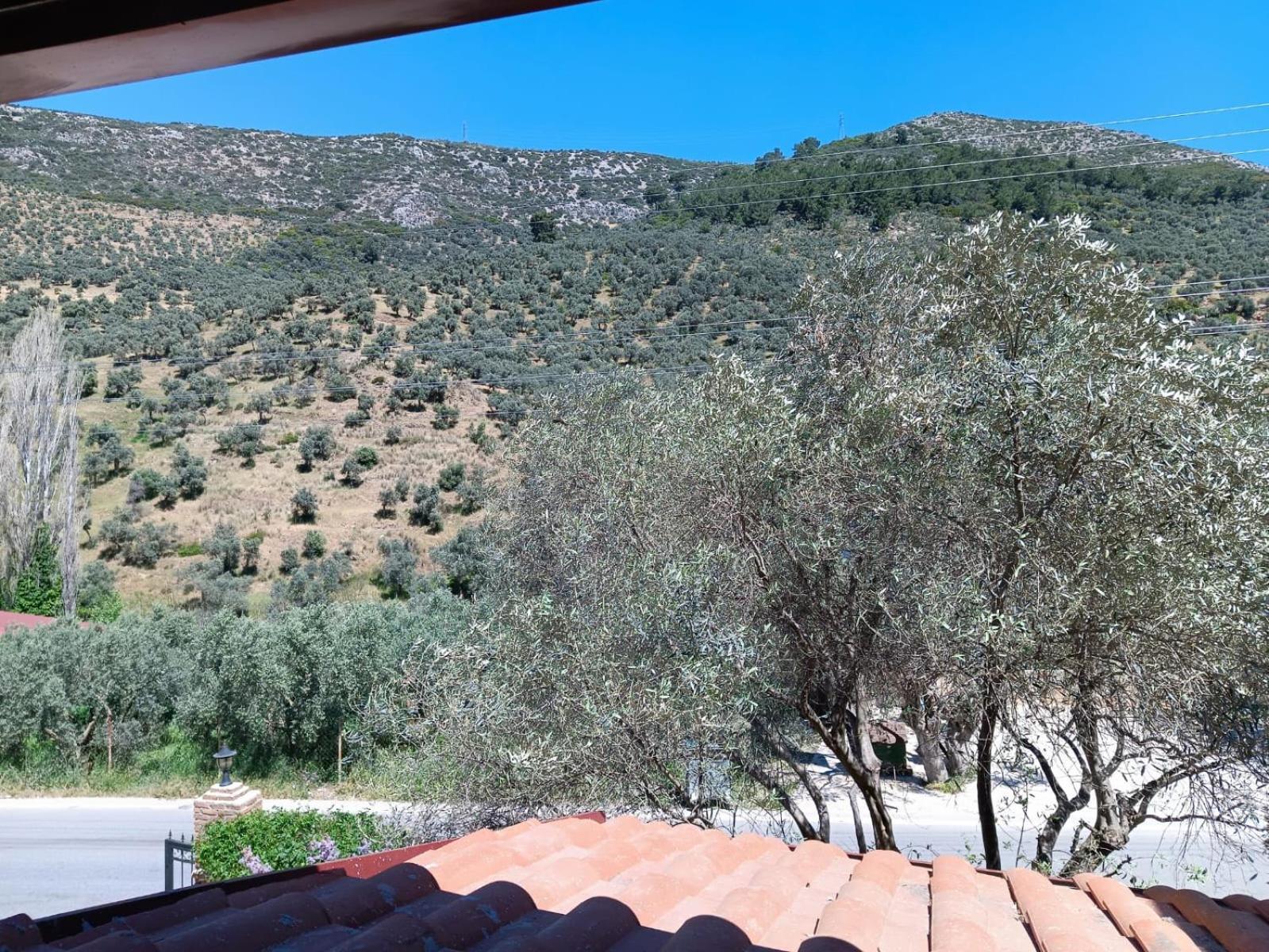 Sirince Klaseas Hotel&Restaurant Selçuk Exterior photo